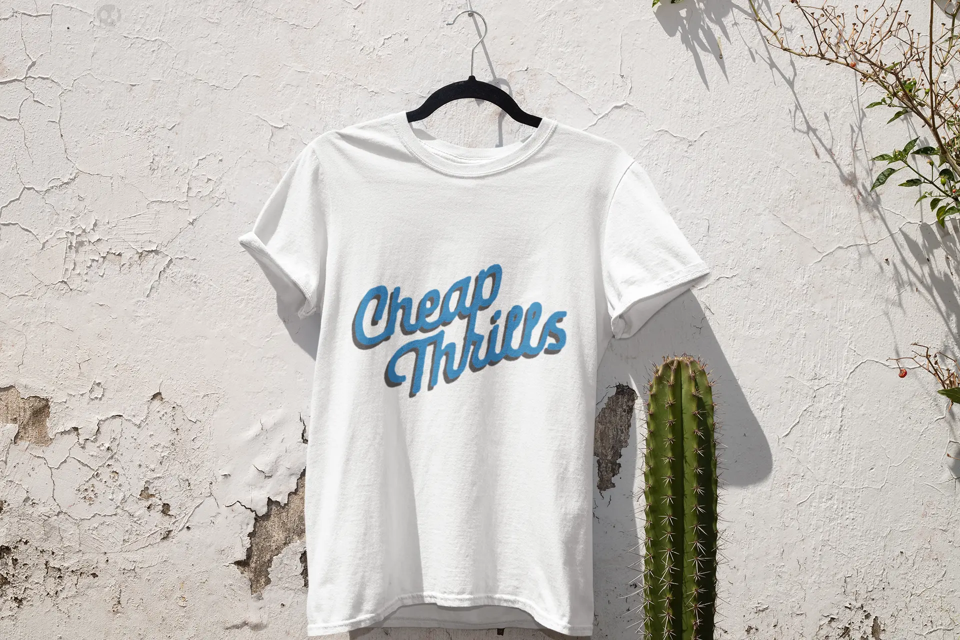 Cheap Thrills Thrill Creative co